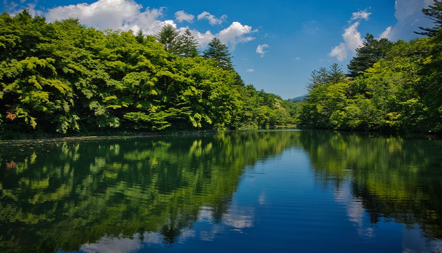 Kumoba Pond with the Reflection of the Forest