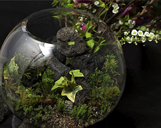 moss terrarium / 苔テラリウム