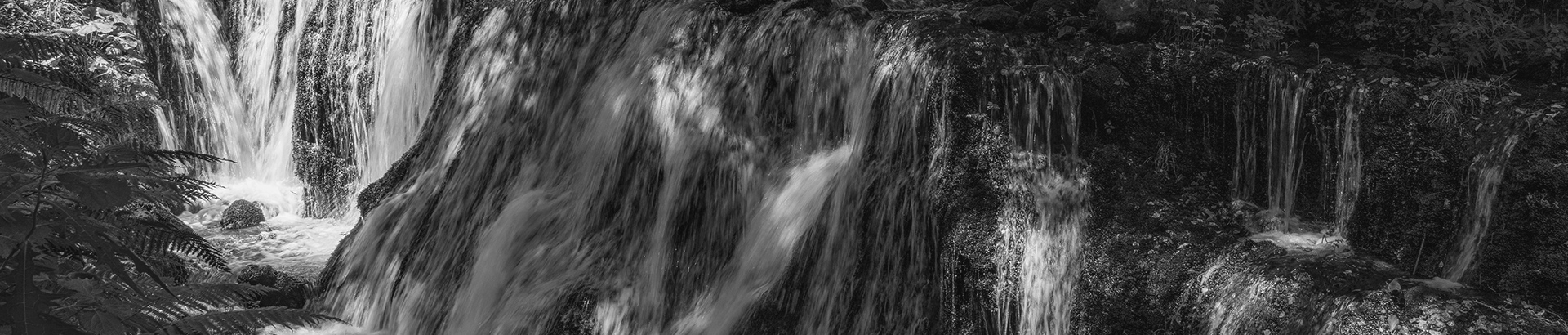 ふふ 旧軽井沢 静養の森